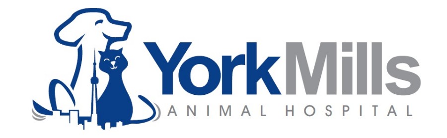 York Mills Animal Hospital